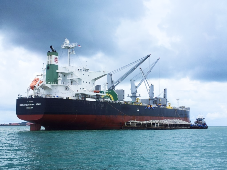Bulk carrier vessel